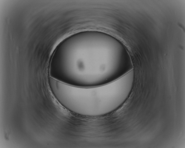X0000094081530200710190906
