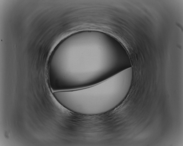 X0000094081531200710190906