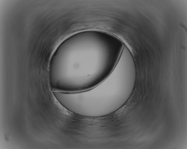 X0000094081532200710190906