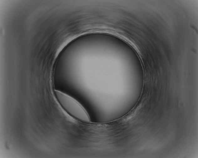 X0000094081533200710190906