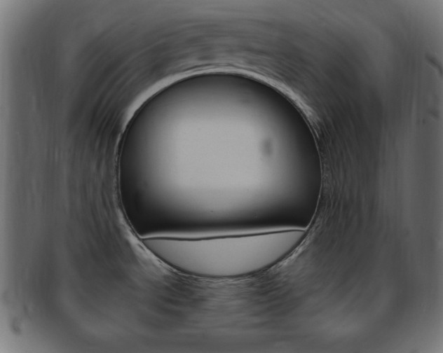 X0000094081534200710190906