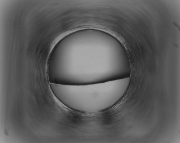 X0000094081535200710190906