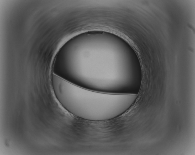 X0000094081536200710190906