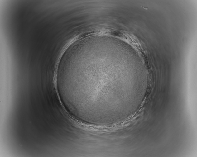 X0000094080003200710191430