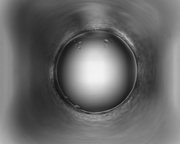 X0000094080010200710191430