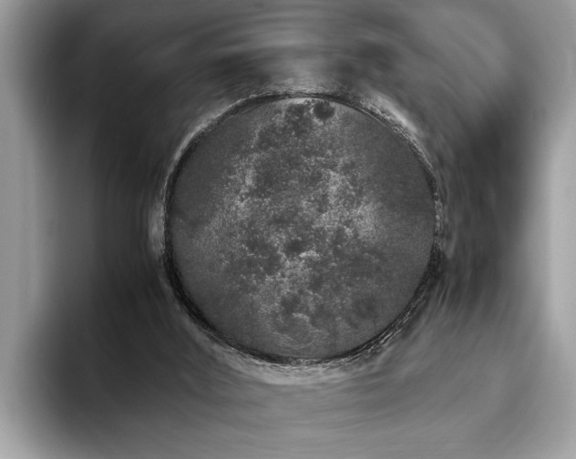 X0000094080012200710191430