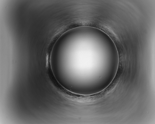 X0000094080024200710191430