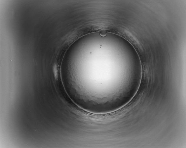 X0000094080026200710191430