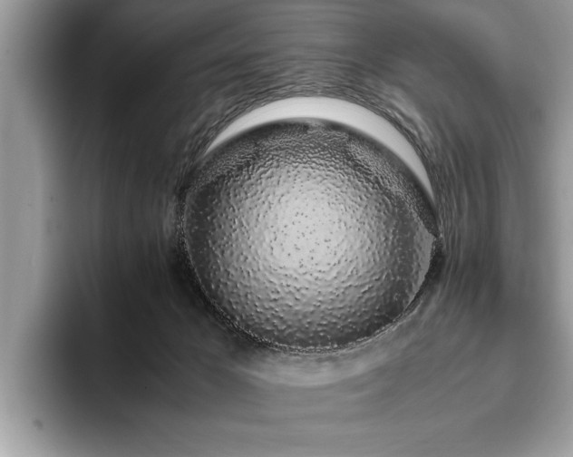 X0000094080029200710191429