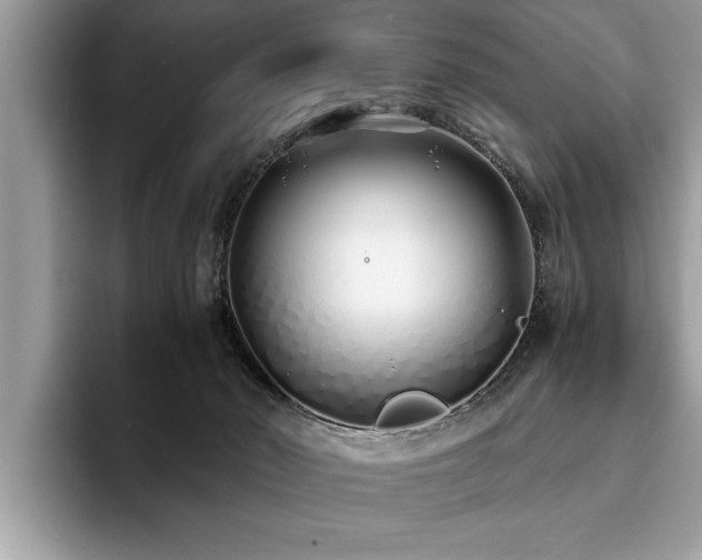 X0000094080030200710191429