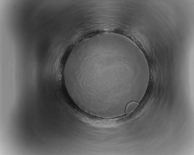 X0000094080032200710191429