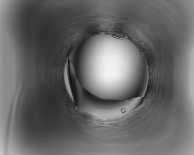 X0000094080033200710191429