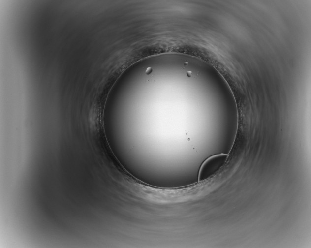 X0000094080034200710191429