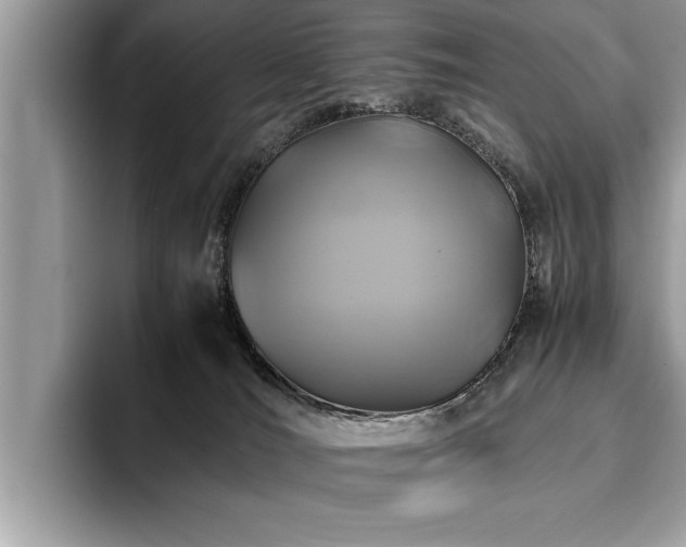 X0000094080036200710191429