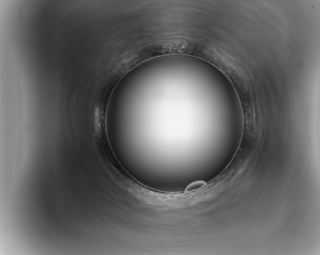 X0000094080038200710191429