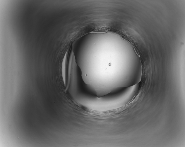 X0000094080041200710191429