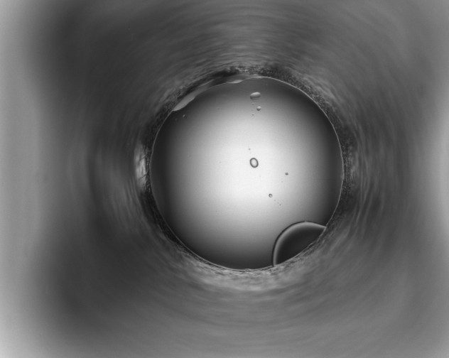 X0000094080042200710191429