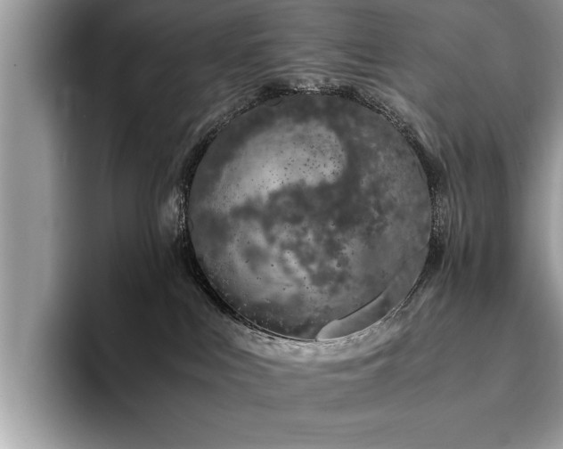 X0000094080043200710191429