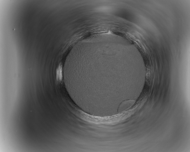 X0000094080046200710191429