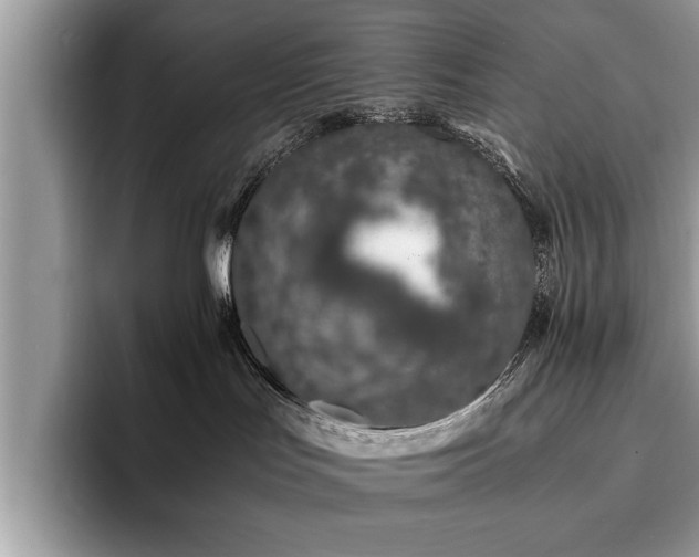 X0000094080047200710191429