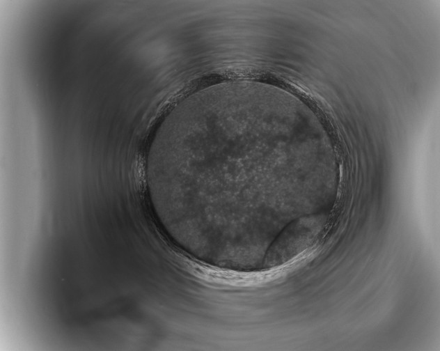 X0000094080048200710191429