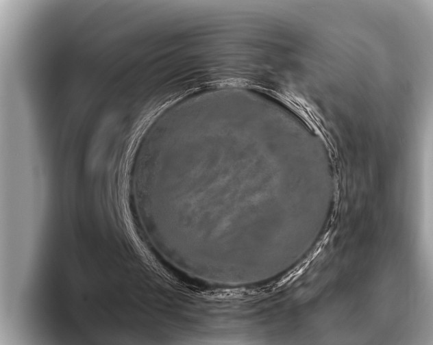 X0000094080049200710191429