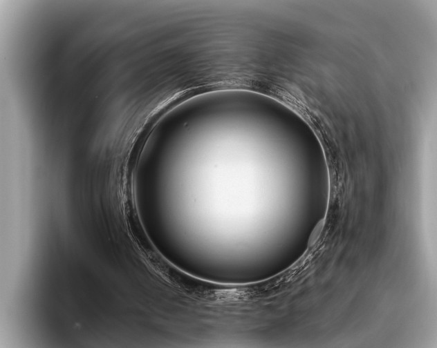 X0000094080050200710191429