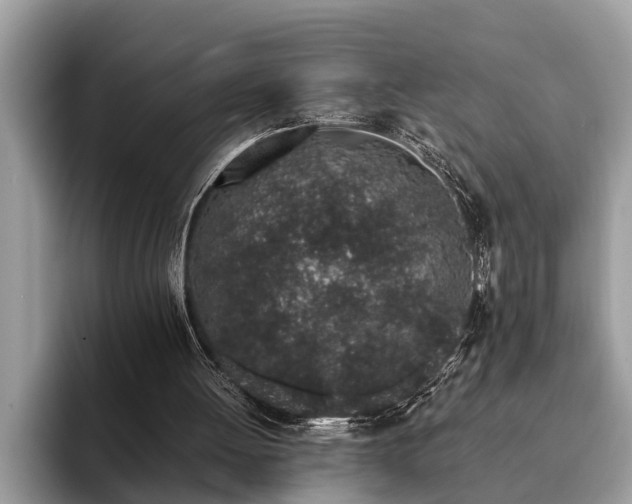 X0000094080052200710191429