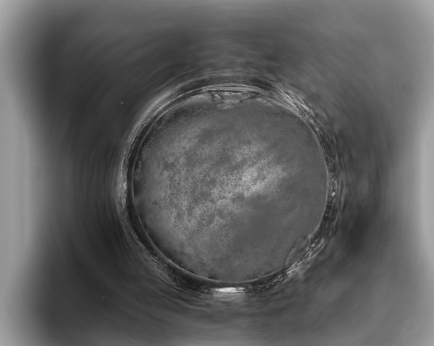 X0000094080053200710191429