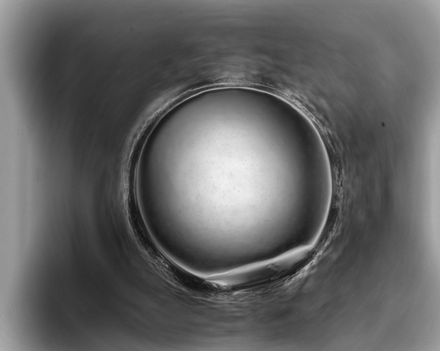 X0000094080055200710191429