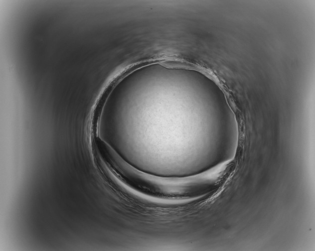 X0000094080056200710191429