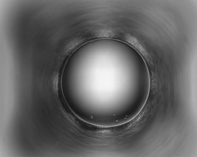 X0000094080058200710191429