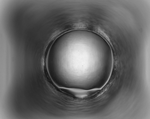 X0000094080059200710191429