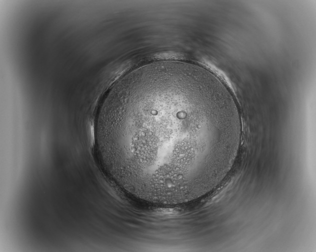 X0000094080061200710191429