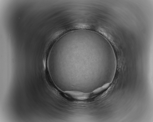 X0000094080062200710191429