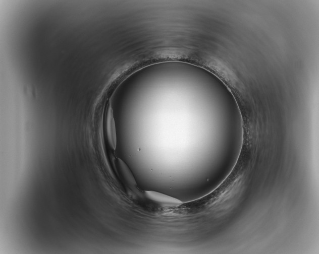 X0000094080064200710191429