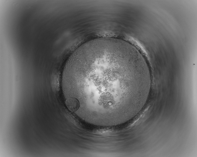 X0000094080065200710191429