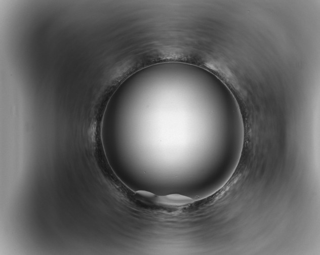 X0000094080066200710191429