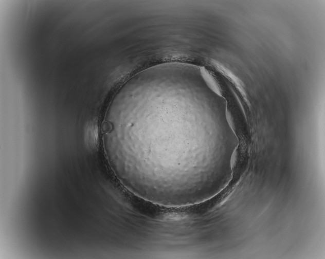 X0000094080067200710191429