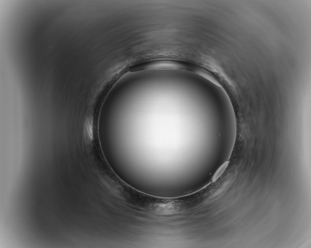 X0000094080068200710191429