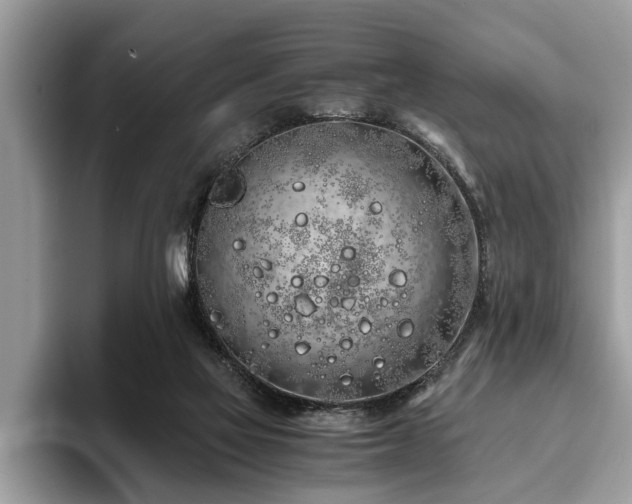 X0000094080069200710191429