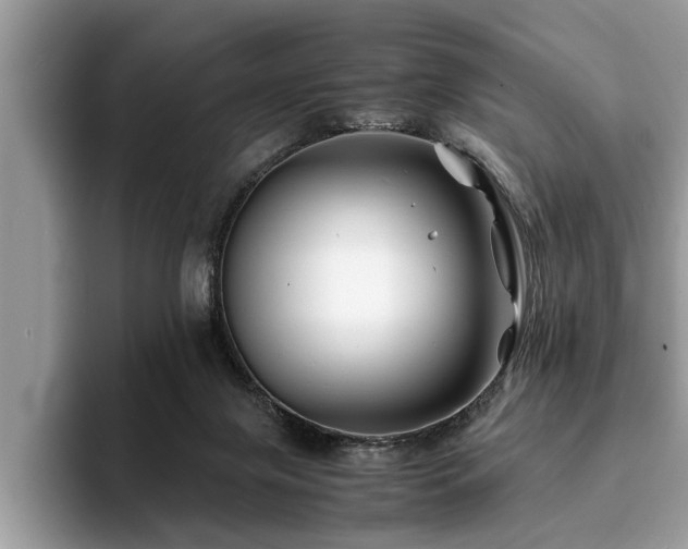 X0000094080071200710191429