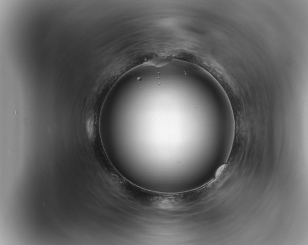 X0000094080074200710191429