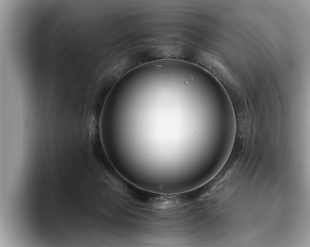 X0000094080077200710191429