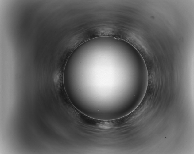 X0000094080079200710191429