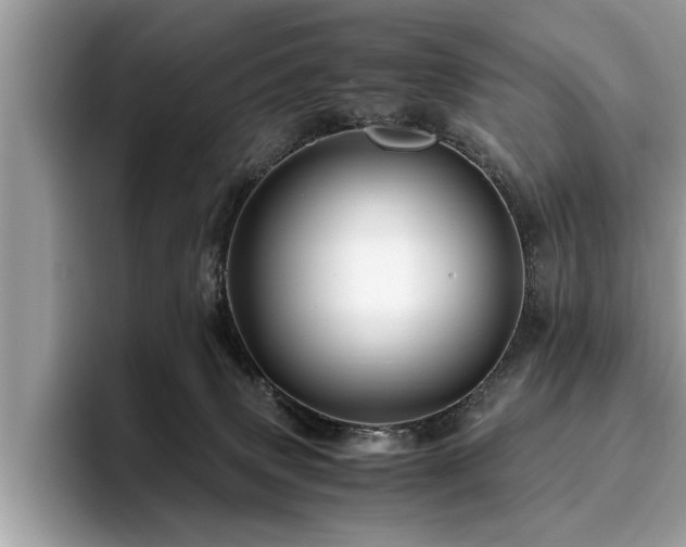 X0000094080083200710191429