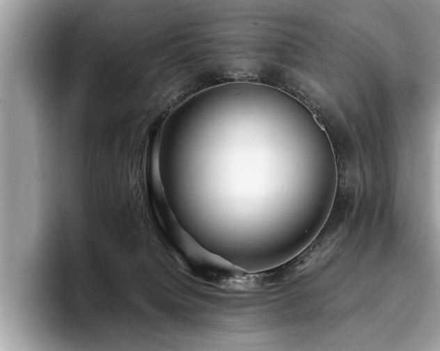 X0000094080084200710191429