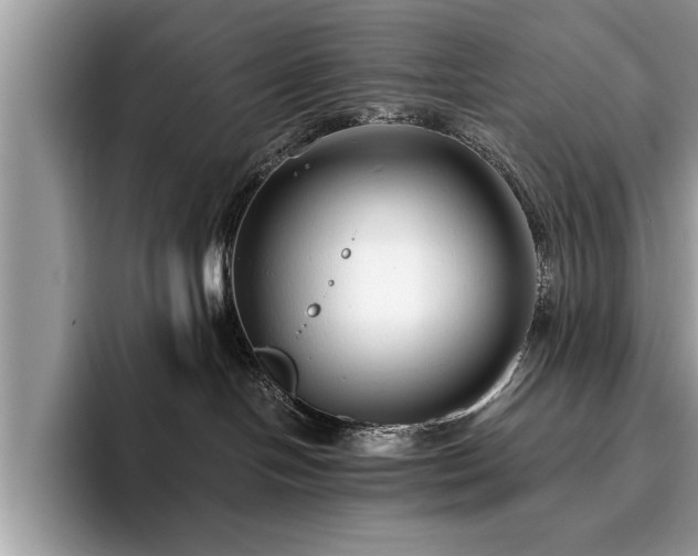 X0000094080094200710191429