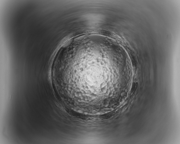 X0000094080099200710191429