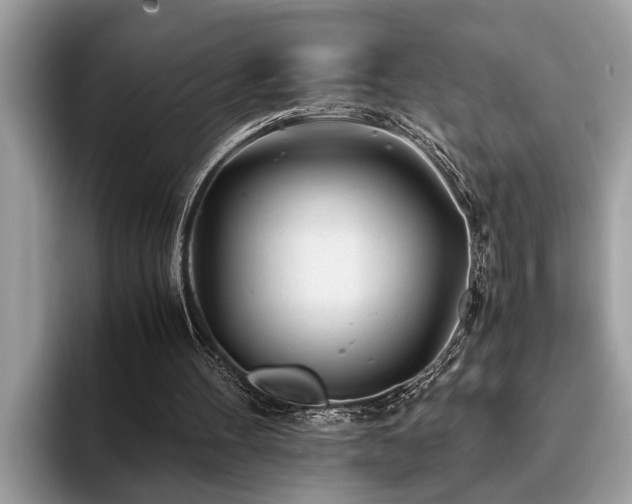 X0000094080100200710191429